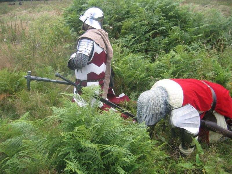 DeusVult015