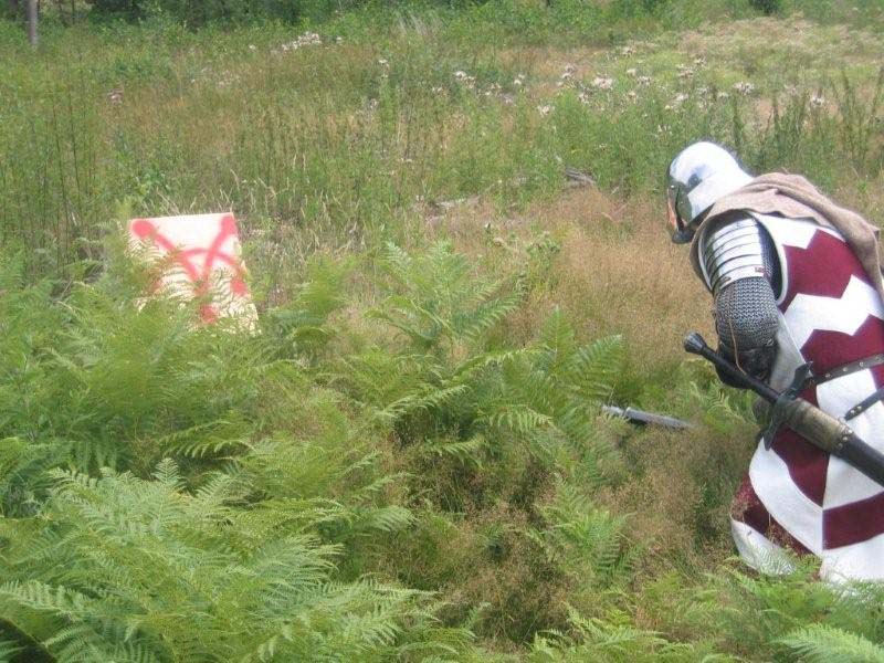DeusVult083
