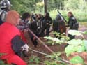 DeusVult049