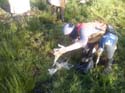 Foto0168