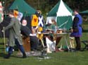 Versina_LARP003