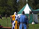 Versina_LARP100