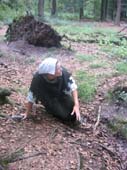 DC-LARP 3 041