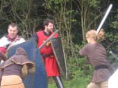 DC-LARP 3 061