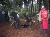 DC-LARP 3 109